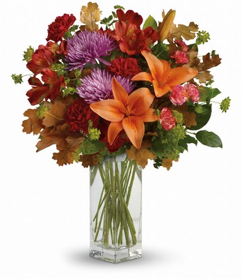 Fall Brights Bouquet from Sharon Elizabeth's Floral Designs in Berlin, CT